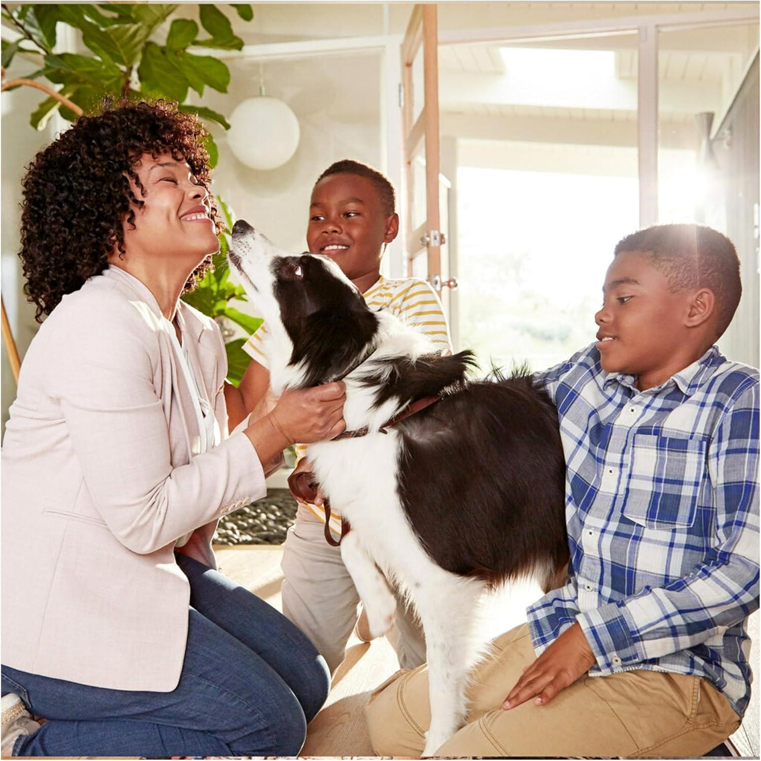 imageFiltrete 14x20x1 AC Furnace Air Filter MERV 11 MPR 1000 Micro Allergen Defense 3Month Pleated 1Inch Electrostatic Air Cleaning Filter 2 Pack Actual Size 13781 x 19781 x 084 in14x24x1