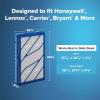 imageFiltrete 16x25x4 Refillable Air Filter replacement MPR 1000 MERV 11 Allergen Defense 2 Pack use with reusable air filter frame of Filtrete Refillable Air Filter Kit 16x25x4 for HVAC Furnace AC16x25x4